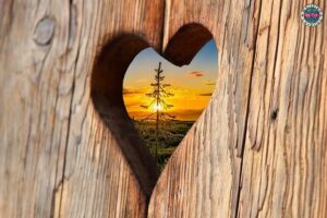 Dagli hippie alla passione per il legno - foto in evidenza, un pezzo di legno con un cuore ritagliato dal quale si intravvede un bellissimo tramonto nella natura