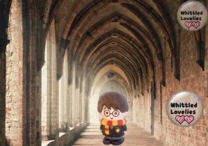 pagina informazioni foto carosello instagram @whittled.lovelies harry potter