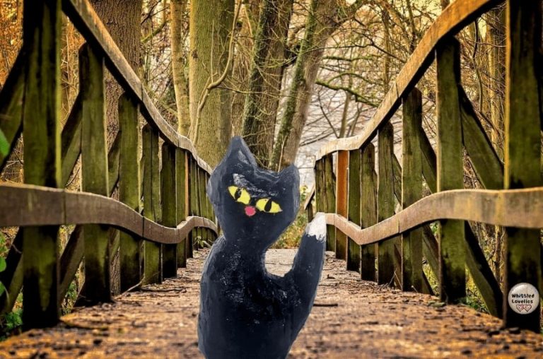 artvsartist2021 photo from instagram black cat