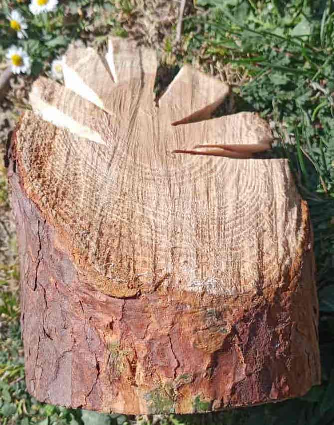 Easter Tutorial: the rabbit hole! Let's start by cutting out the log for the rabbit hole.