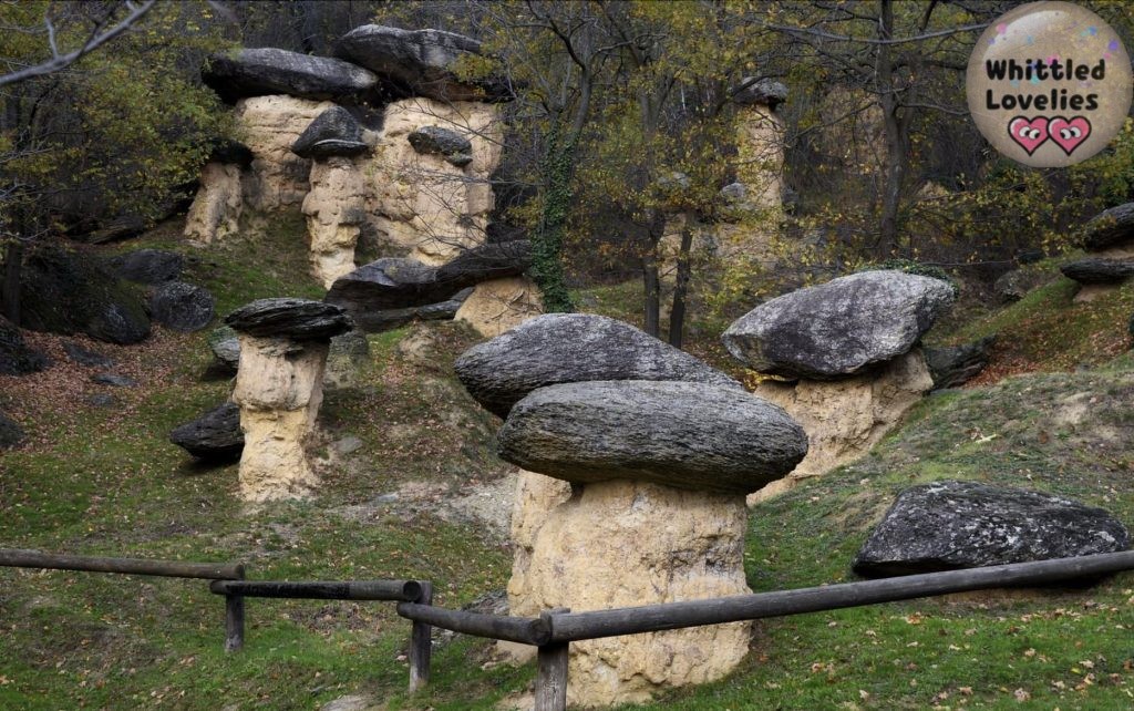 In the Maira Valley there is not only the gnomes path but also peculiar rock conformations. With the effect of erosion they take the peculiar shape of mushrooms