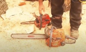Barba Brisiu: un chainsaw carver italiano - differenza tra motosega tradizionale e motosega da carving