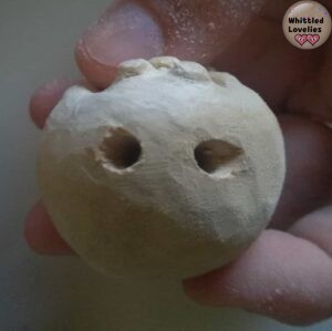 Two holes drilled on the ball that are used to insert the pre-carved antlers.