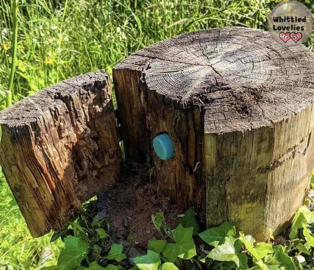 Photo of a log that has been pierced and suitably arranged and can be opened to reveal the treasure inside without it being visible on the outside