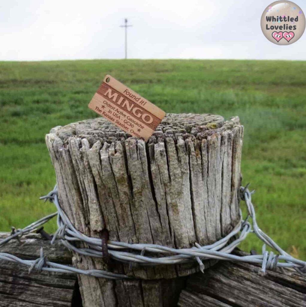 Foto del panorama dalla settima cache creata dall'inizio del gioco di Geocaching. Si trova a Colby in Kansas (U.S.A.)