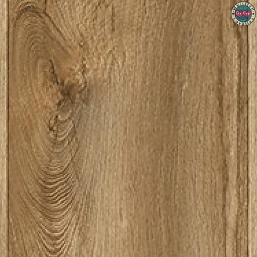 La tossicità del legno: Cosa devi sapere prima di lavorarlo e usarlo in cucina - foto dettaglio legno di oleandro