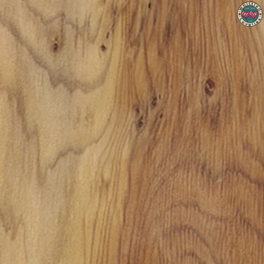 La tossicità del legno: Cosa devi sapere prima di lavorarlo e usarlo in cucina - foto dettaglio legno di tasso